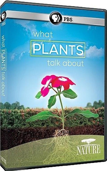 植物间的对话 What Plants Talk About的海报