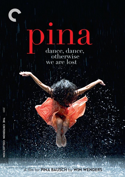 皮娜 Pina的海报