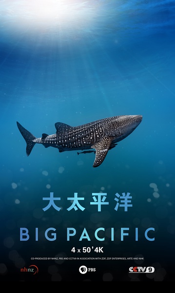 大太平洋 Big Pacific的海报
