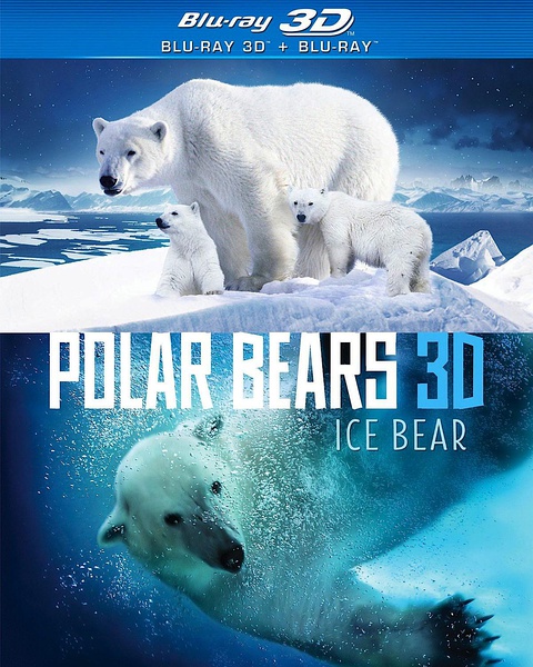 冰熊 Polar Bears Ice Bear的海报