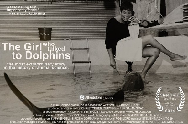 跟海豚说话的女孩 The Girl Who Talked to Dolphins的海报