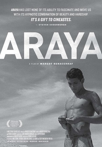 阿拉亚 Araya的海报