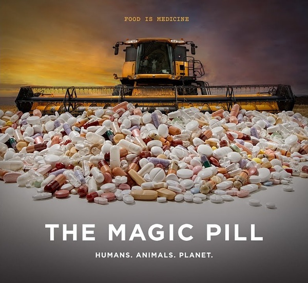 神奇药丸  The Magic Pill的海报