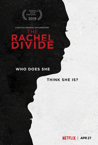 瑞秋的鸿沟  The Rachel Divide的海报