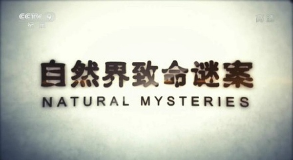 自然界致命谜案 Natural Mysteries的海报