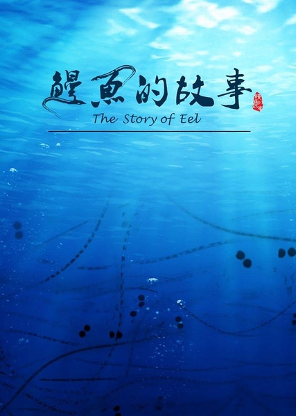 鳗鱼的故事  The Story of Eel的海报