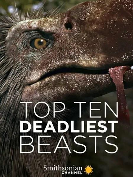 十大致命的捕食者 Top Ten Deadliest Beasts的海报