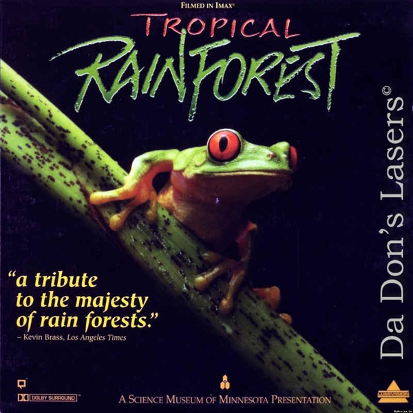 热带雨林 Tropical Rainforest的海报