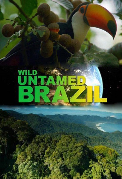 野性巴西 Wild Untamed Brazil的海报