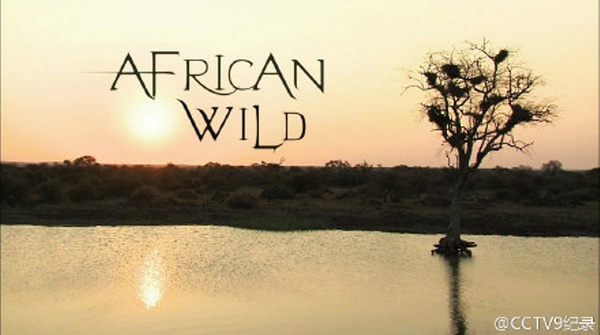 [国家地理]野性大地——非洲 African Wild-熊猫纪录片下载