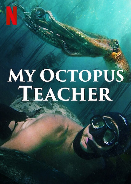 我的章鱼老师 My Octopus Teacher的海报