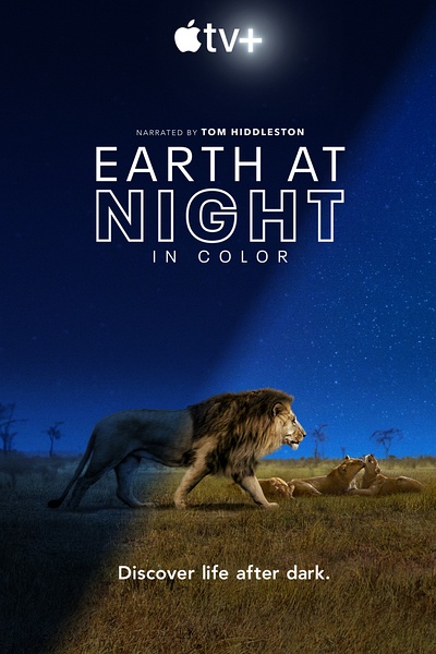 夜色中的地球 Earth at Night in Color的海报