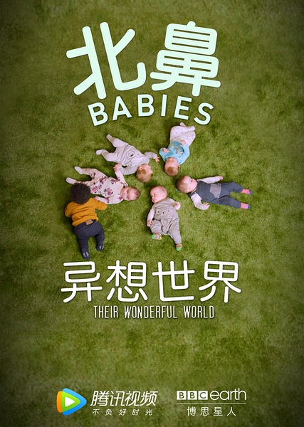北鼻异想世界 The Wonderful World of Babies的海报