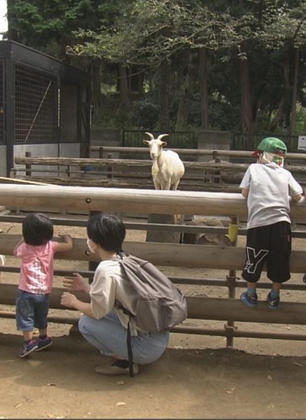 川崎 山丘上的动物园 川崎 丘の上の動物公園的海报