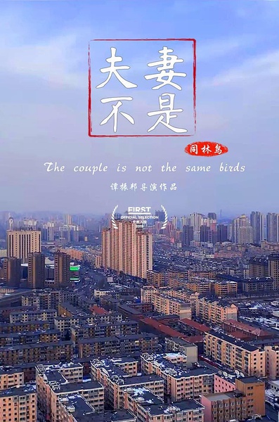 夫妻不是同林鸟 The Couple Is Not the Same Birds的海报