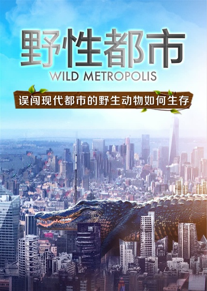 野性都市 Wild Metropolis的海报