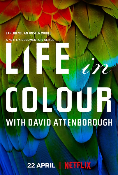 生命之色 Life In Colour / 自然本色的海报