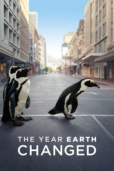 地球改变之年 The Year Earth Changed的海报