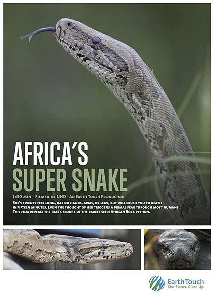 纳塔尔蟒一族 Africa's Super Snake的海报