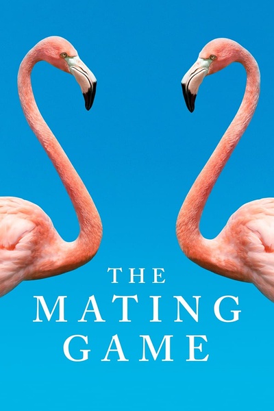 求偶游戏 The Mating Game的海报