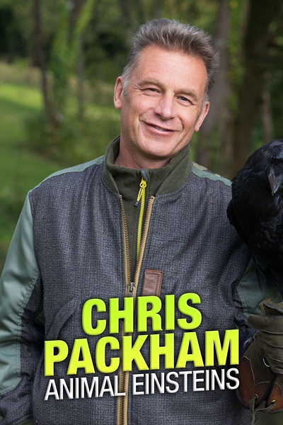 动物界的爱因斯坦 第一季 Chris Packham's Animal Einsteins Season 1的海报