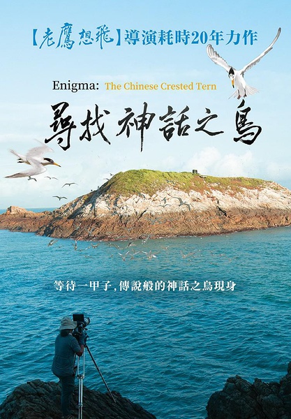 寻找神话之鸟 Enigma: The Chinese Crested Tern的海报