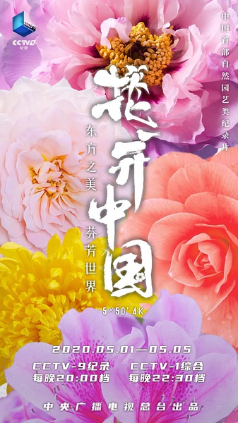 花开中国 The Signature of Flowers的海报