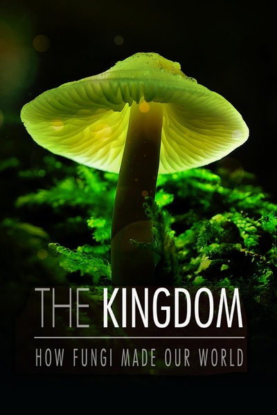 真菌王国 The Kingdom: How Fungi Made Our Worl / 真菌如何造就世界的海报