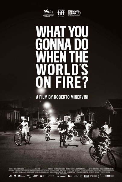 战火蔓延，尔等何为 What You Gonna Do When The World's On Fire?的海报