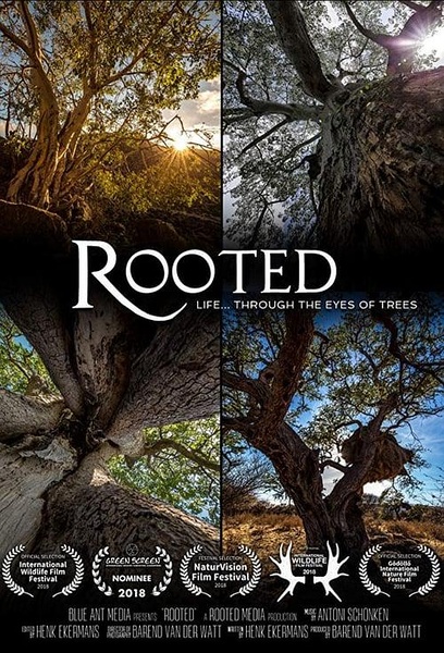 生命之树  Rooted的海报