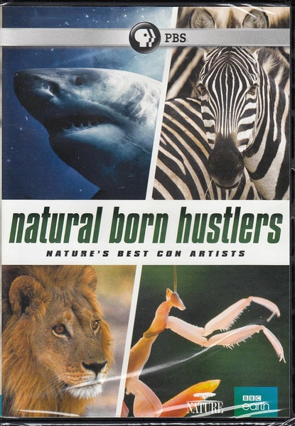 天生骗徒 Natural Born Hustlers的海报