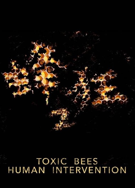 蜂狂2 Toxic Bees: Human Interventio的海报