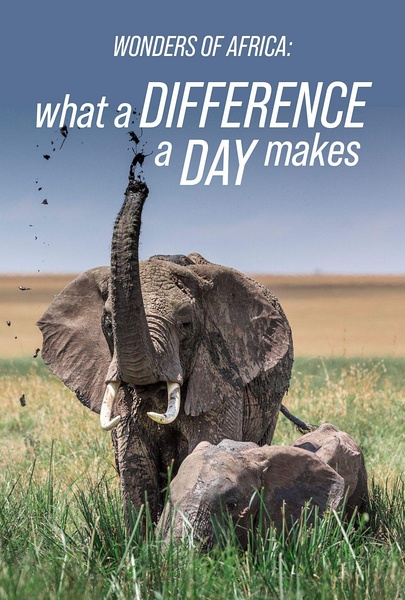 非洲野生动物们的一天 Wonders of Africa的海报