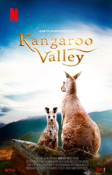 袋鼠谷 Kangaroo Valley的海报