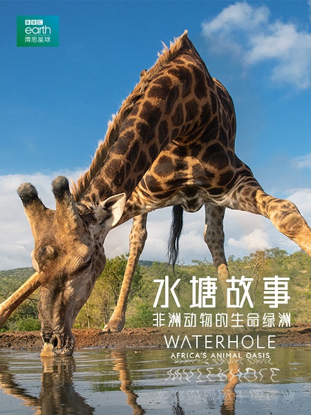 水塘故事：非洲动物的生命绿洲 Waterhole Africa's Animal Oasis的海报