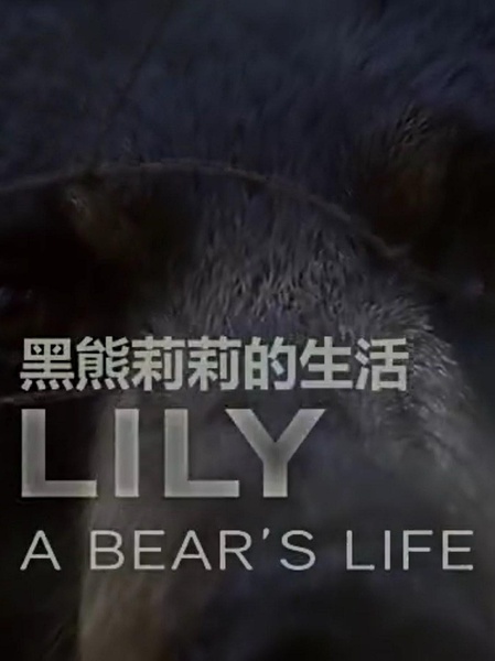 莉莉 一头熊的生活 Lily, A Bear's Lif的海报