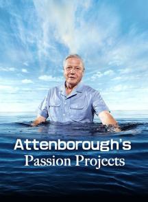 爱丁保罗爷爷的激情项目 Attenborough's Passion Projects/爱登堡的兴趣项目
