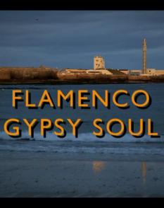 弗拉门戈：吉普赛之魂 Flamenco Gypsy Soul