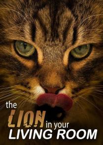 家里的狮子  The Lion in Your Living Room