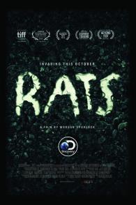 纽约鼠患 Rats