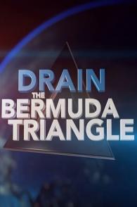 抽空百慕大三角洲 Drain the Bermuda Triangle