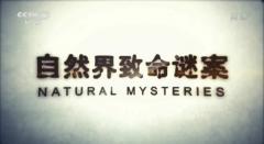 自然界致命谜案 Natural Mysteries