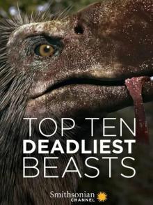 十大致命的捕食者 Top Ten Deadliest Beasts