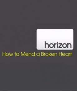 攻克心脏病 How to Mend a Broken Heart