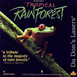热带雨林 Tropical Rainforest