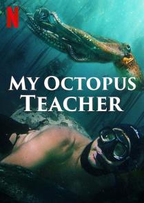 我的章鱼老师 My Octopus Teacher