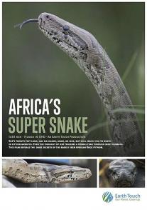 纳塔尔蟒一族 Africa's Super Snake