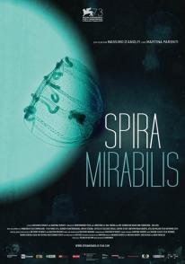 螺纹  Spira mirabilis