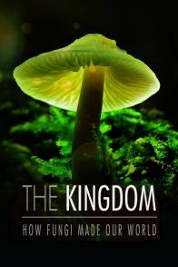 真菌王国 The Kingdom: How Fungi Made Our Worl / 真菌如何造就世界