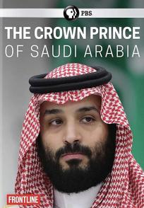 沙特王储 The Crown Prince of Saudi Arabia